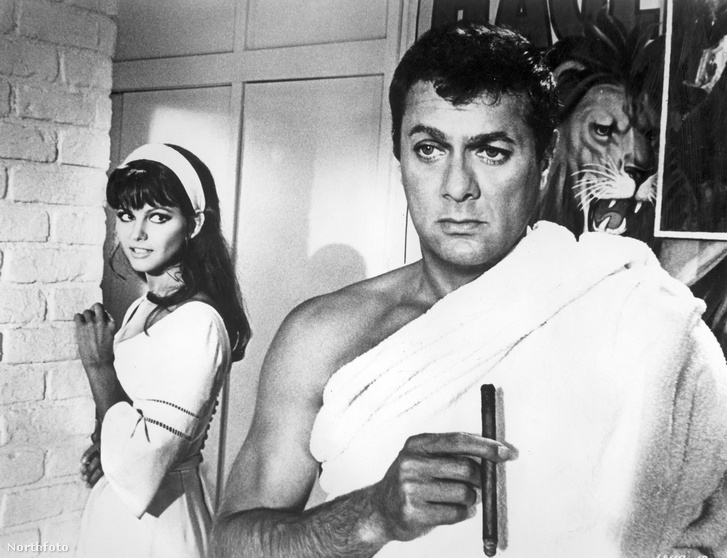 TonyCurtis